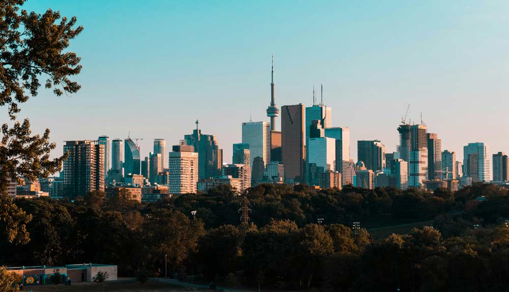 Toronto skyline on a sunny day with forested park in the foreground.