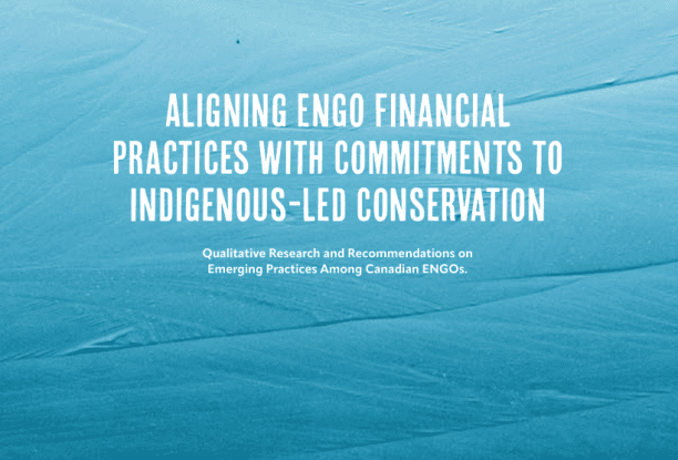 Aligning ENGO financial practices with commitments to Indigenous-led conservation