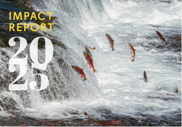 Impact Report 2025