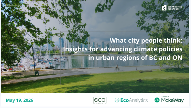 Clean Cities Research Quantitative Survey Report
